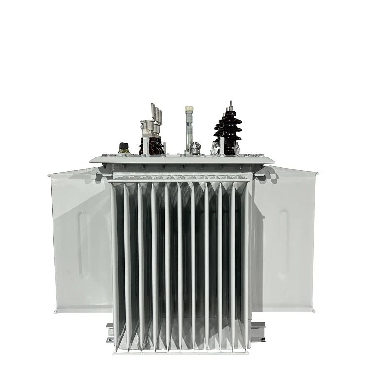 750 KVA Electric Distribution Transformer-11/0.415 KV | Papua New Guinea 2025 factory