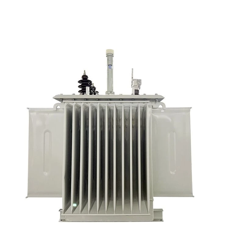 750 KVA Electric Distribution Transformer-11/0.415 KV | Papua New Guinea 2025 high quality