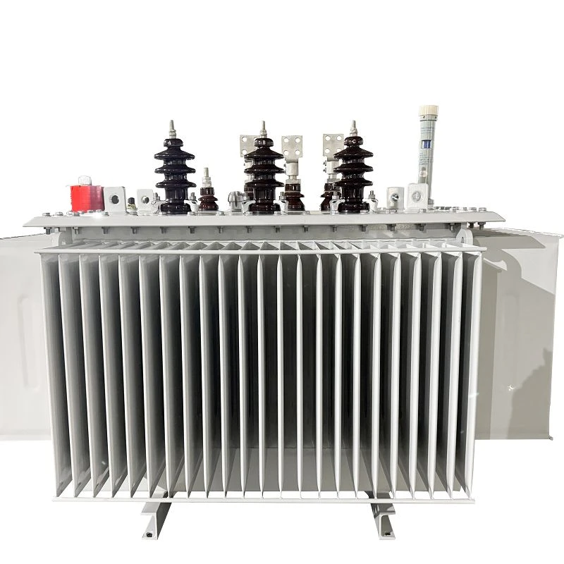 750 KVA Electric Distribution Transformer-11/0.415 KV | Papua New Guinea 2025 high quality