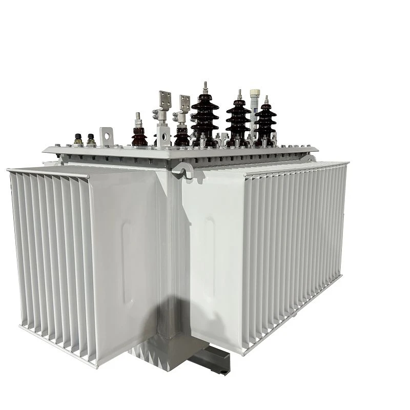 750 KVA Electric Distribution Transformer-11/0.415 KV | Papua New Guinea 2025 best